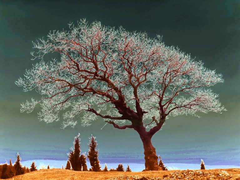 Οι ενέργειες του σώματός μας και η αφθονία.